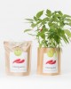 Grow Bag Malagueta