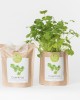 Grow Bag Coentros