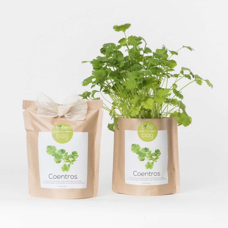 Grow Bag Coentros