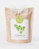 Grow Bag Coentros