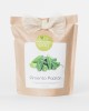 Grow Bag Pimentos Padrón