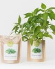 Grow Bag Pimentos Padrón