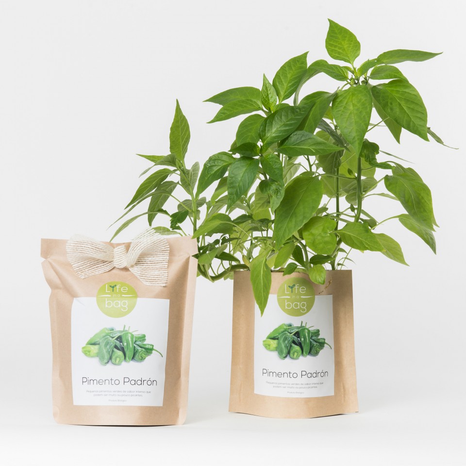 Grow Bag Pimentos Padrón