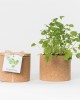 Grow CorK Pote Coentros