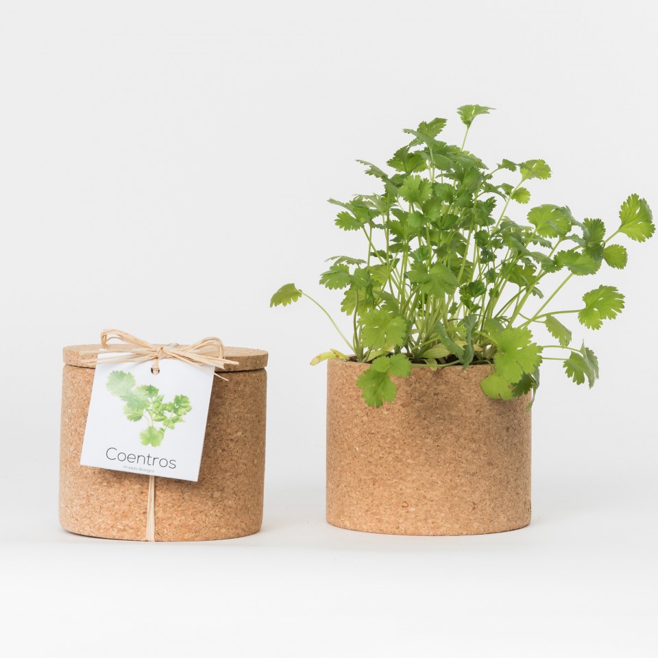 Grow CorK Pote Coentros