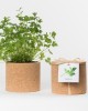 Grow CorK Pote Salsa