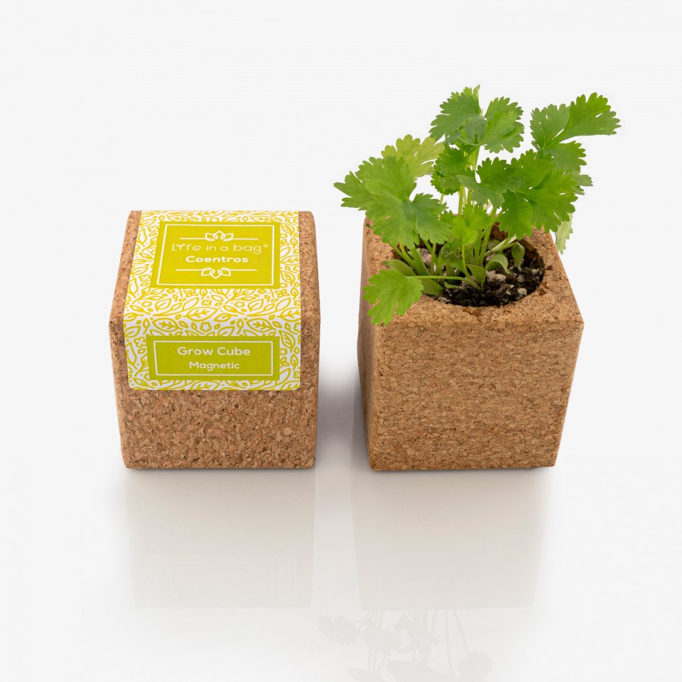 Grow Cube Coentros